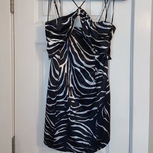 Zara zebra silk dress